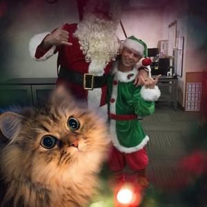 Meet your Posher, Tommy